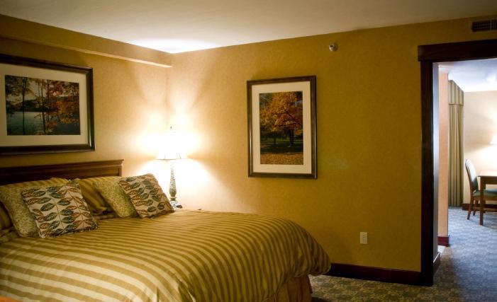 Wisp Resort Hotel And Conference Center McHenry Esterno foto