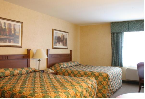 Wisp Resort Hotel And Conference Center McHenry Camera foto
